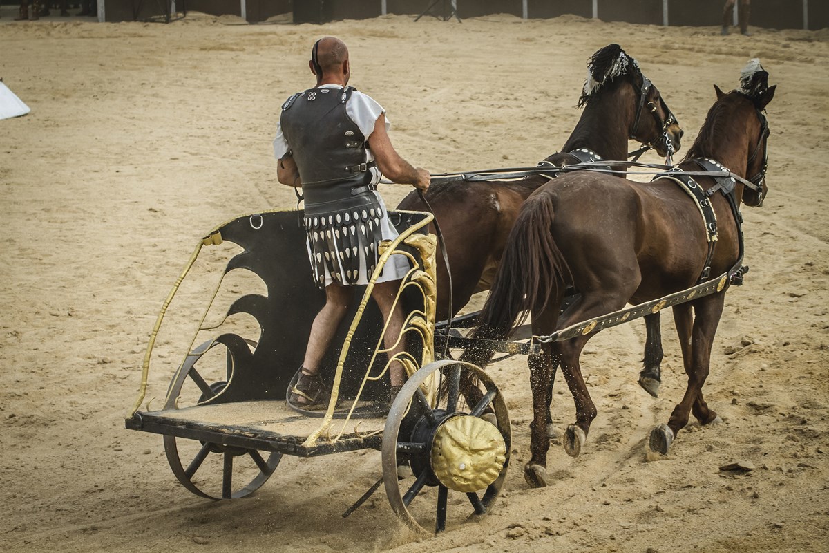 Paard Wagen Gladiator Roma World