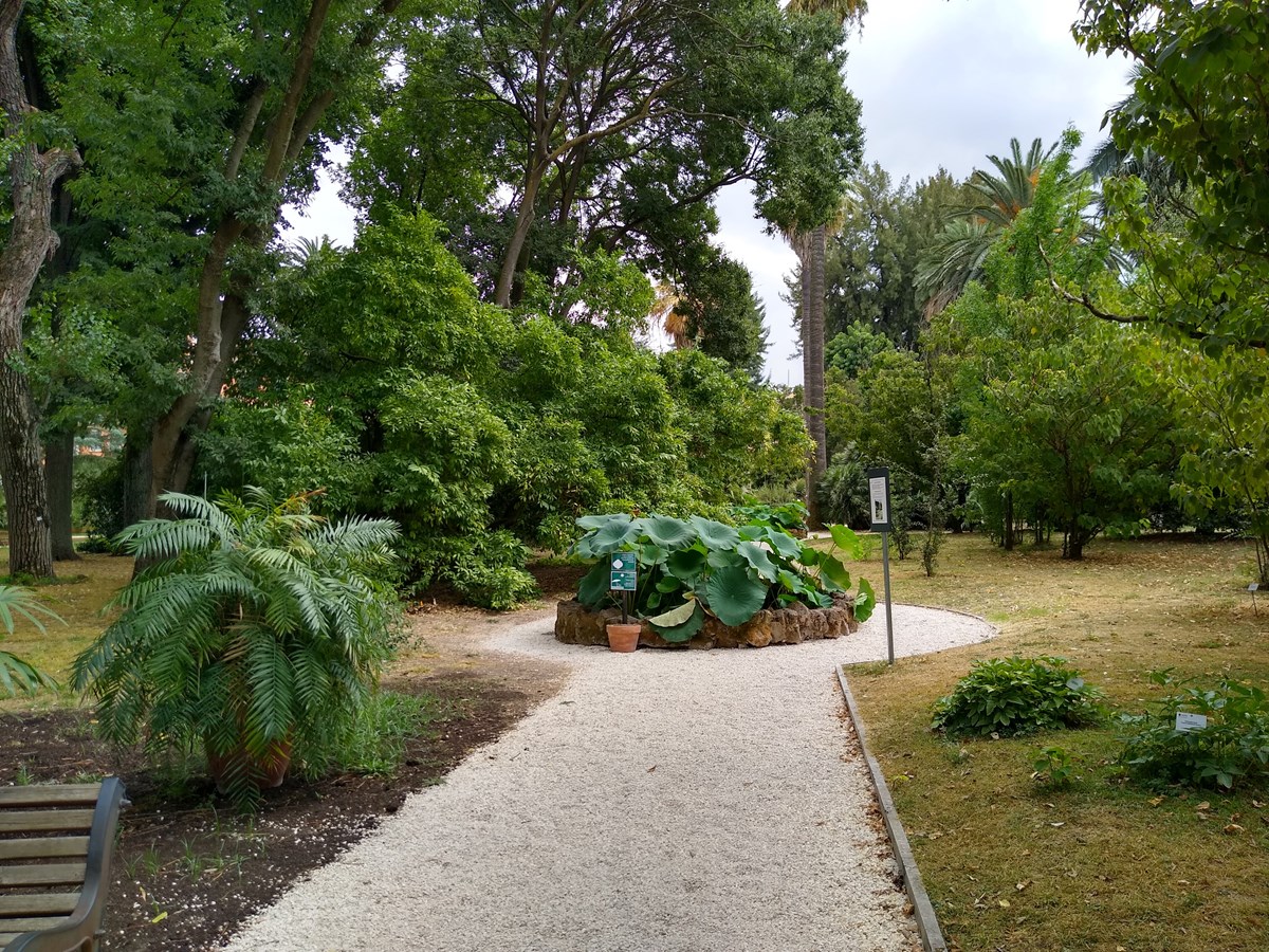Piazza dei Cinquecento Gardens