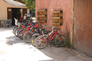 Bicycle Rental